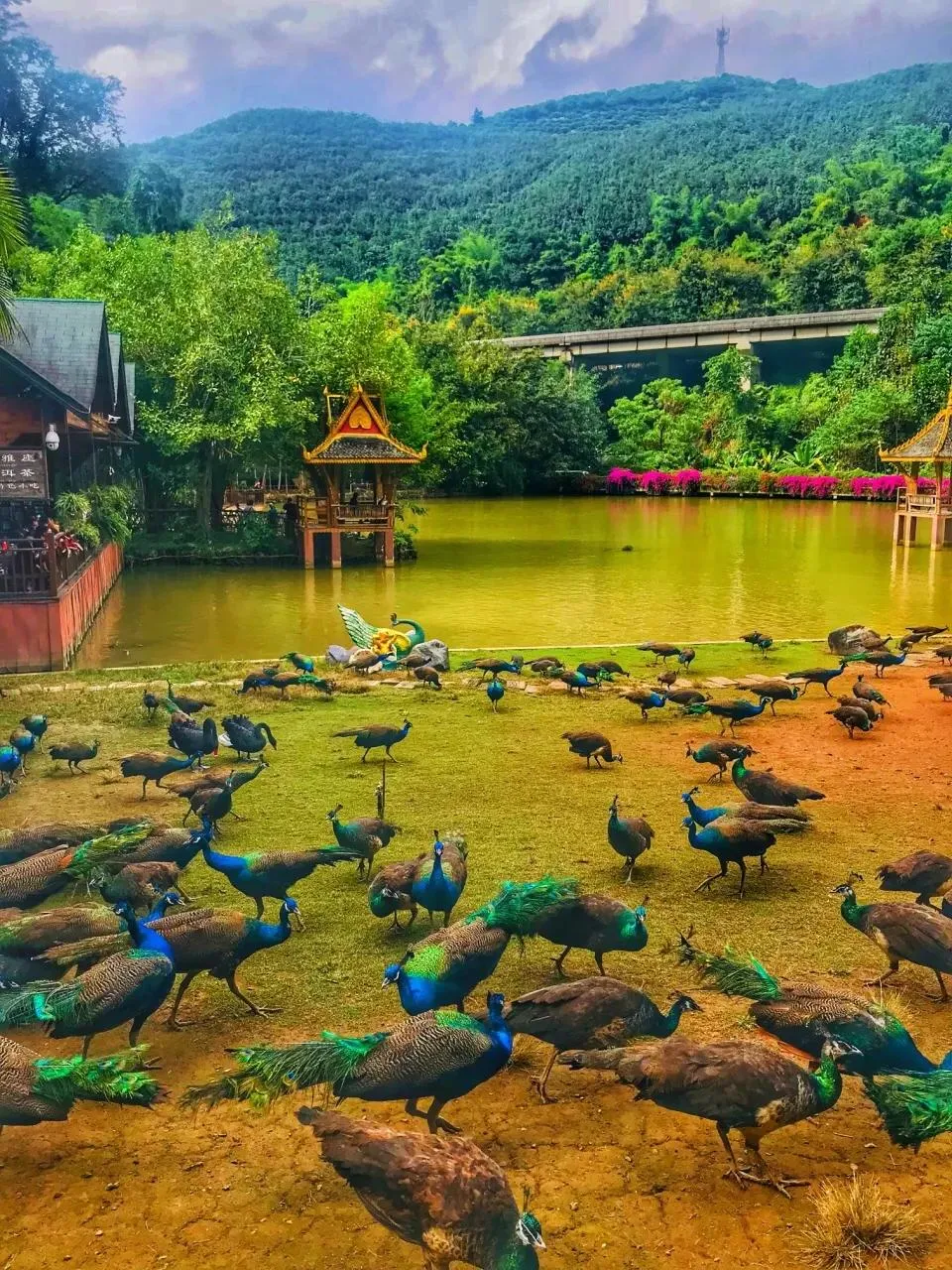 全球亿万富豪最多的国家 一,美