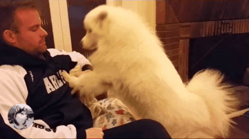 360_202gif 动态图 动图