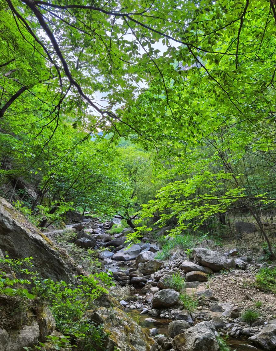 河南栾川天气预报 河南栾川天气预报