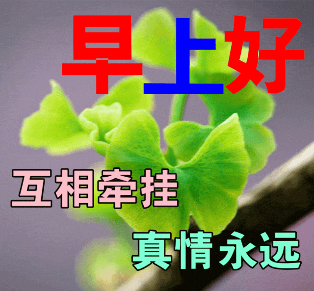 最新版早上好问候祝福语唯美动态图片,最新早安祝福美图送给你