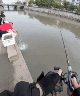 钓鱼佬开始找放生大妈来打窝,鱼和功德一起循环起来了