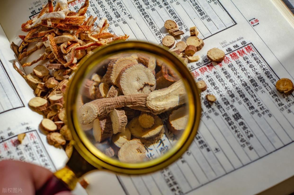 中医12大分支流派，你站哪一派？