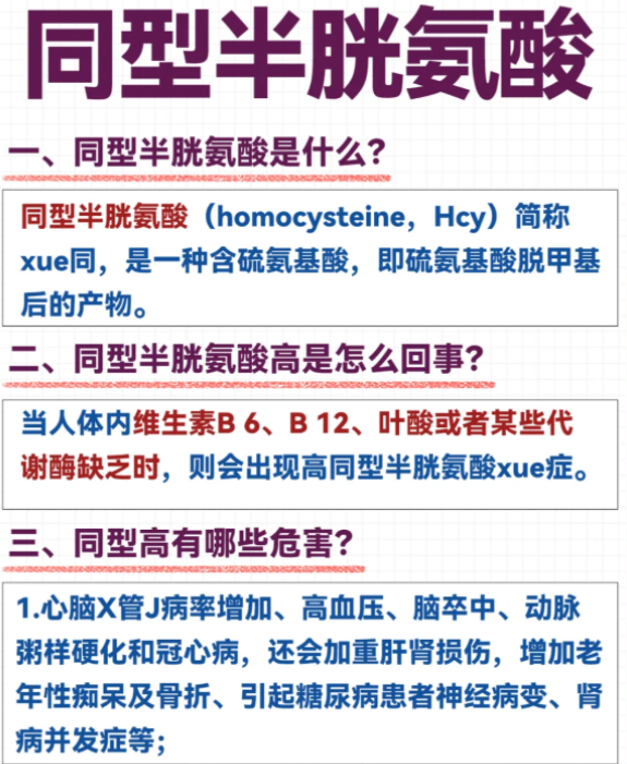 同型半胱氨酸高怎么降下来?
