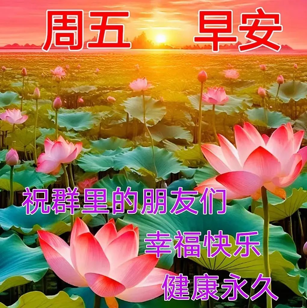 早上好,周五最漂亮的夏天早安问候图片和祝福精选