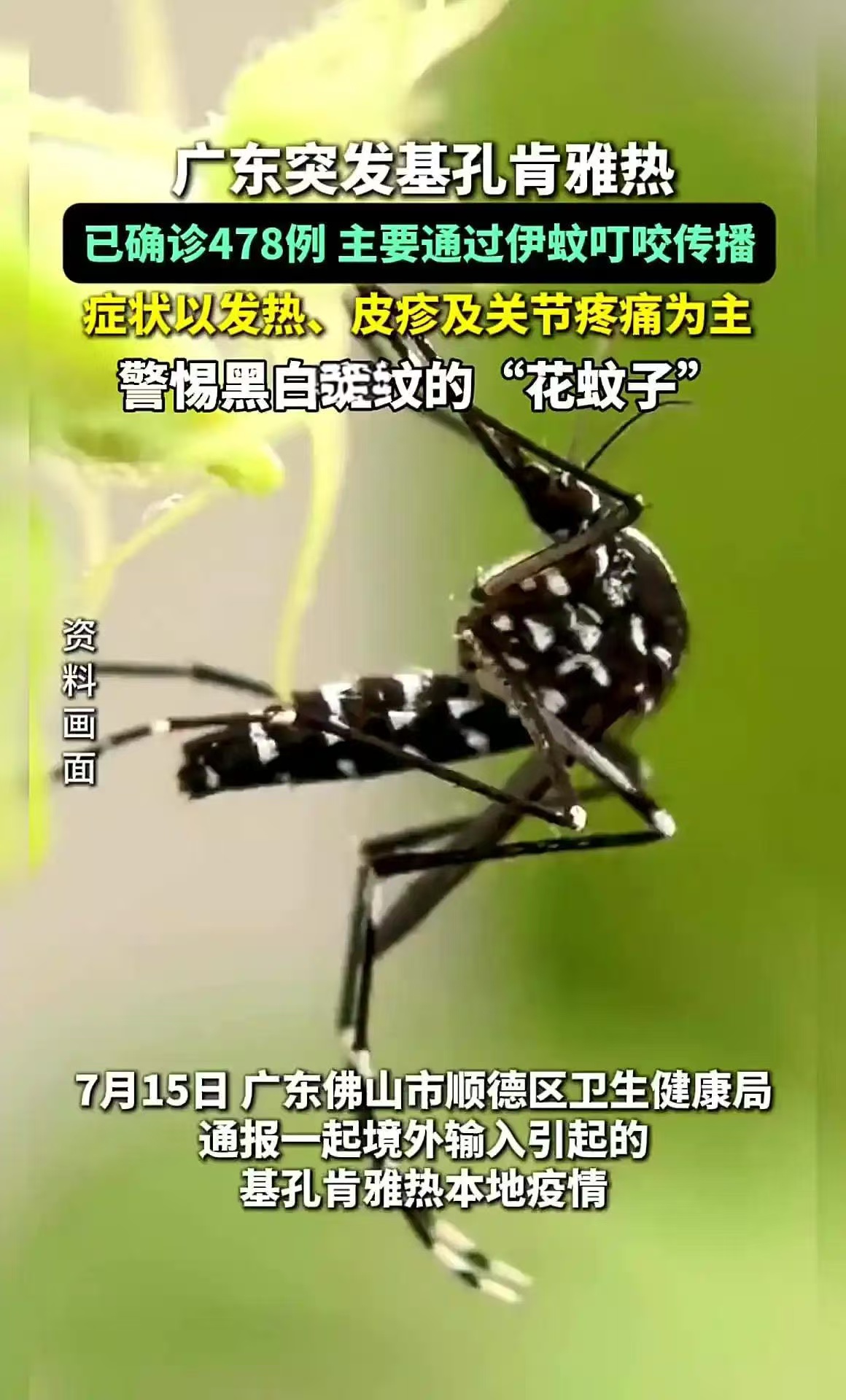  广东佛山疫情实时情况最新消息查询(广东佛山疫情最新消息今天新增病例)