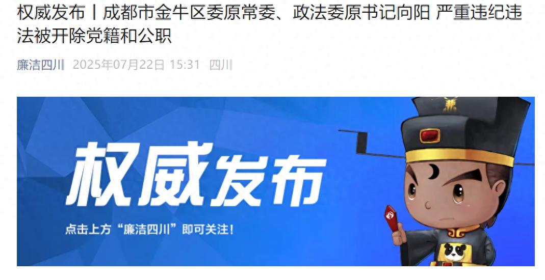 成都市金牛区委原常委,政法委原书记向阳被"双开"