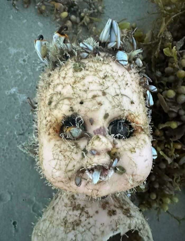17张让你脊背发凉的诡异照片,你敢看完吗?