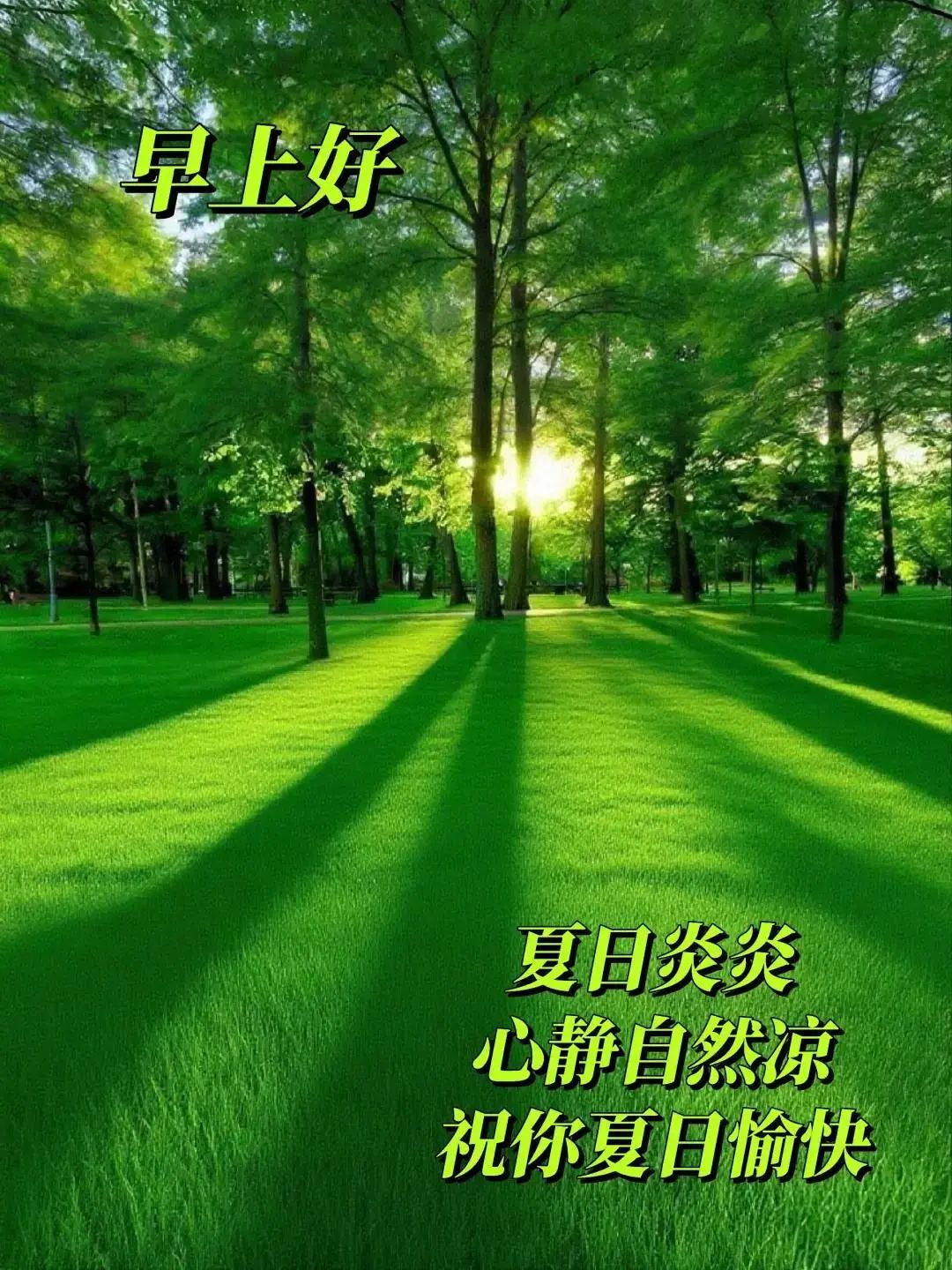 炎热夏天早安早上好祝福语图片大全,夏日早安问候语句子