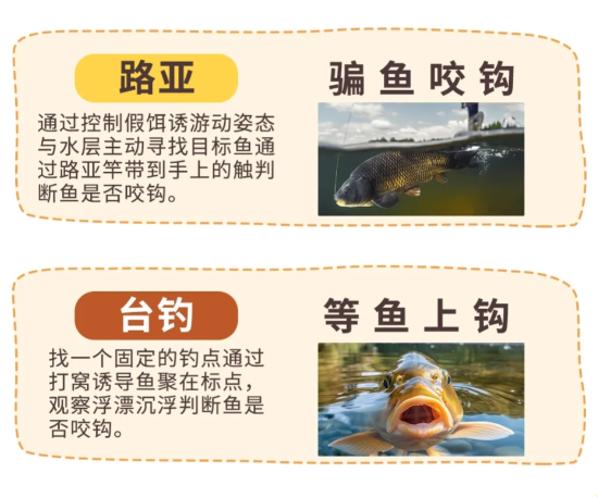 为什么不能钓鱼