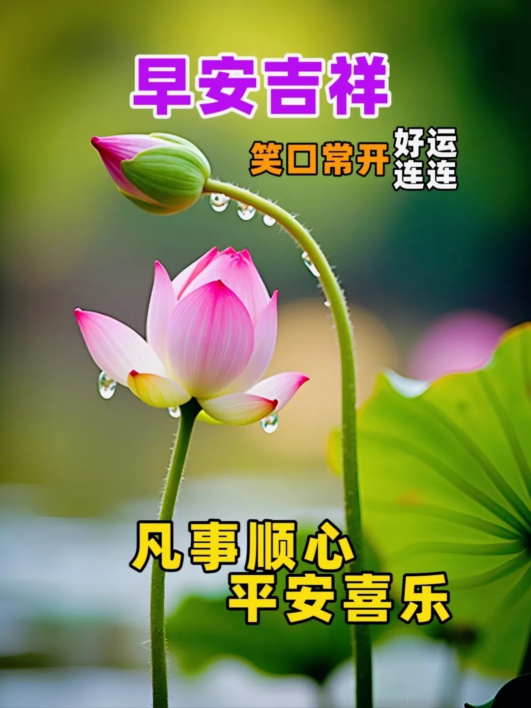 早安吉祥如意的优美句子,清晨传递温暖的早上好问候语精选