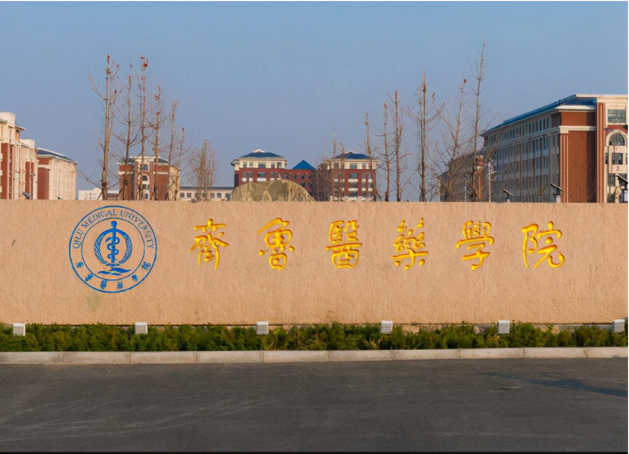 齐鲁医药学院是公立还是私立?一文带你了解民办高校的真实面貌