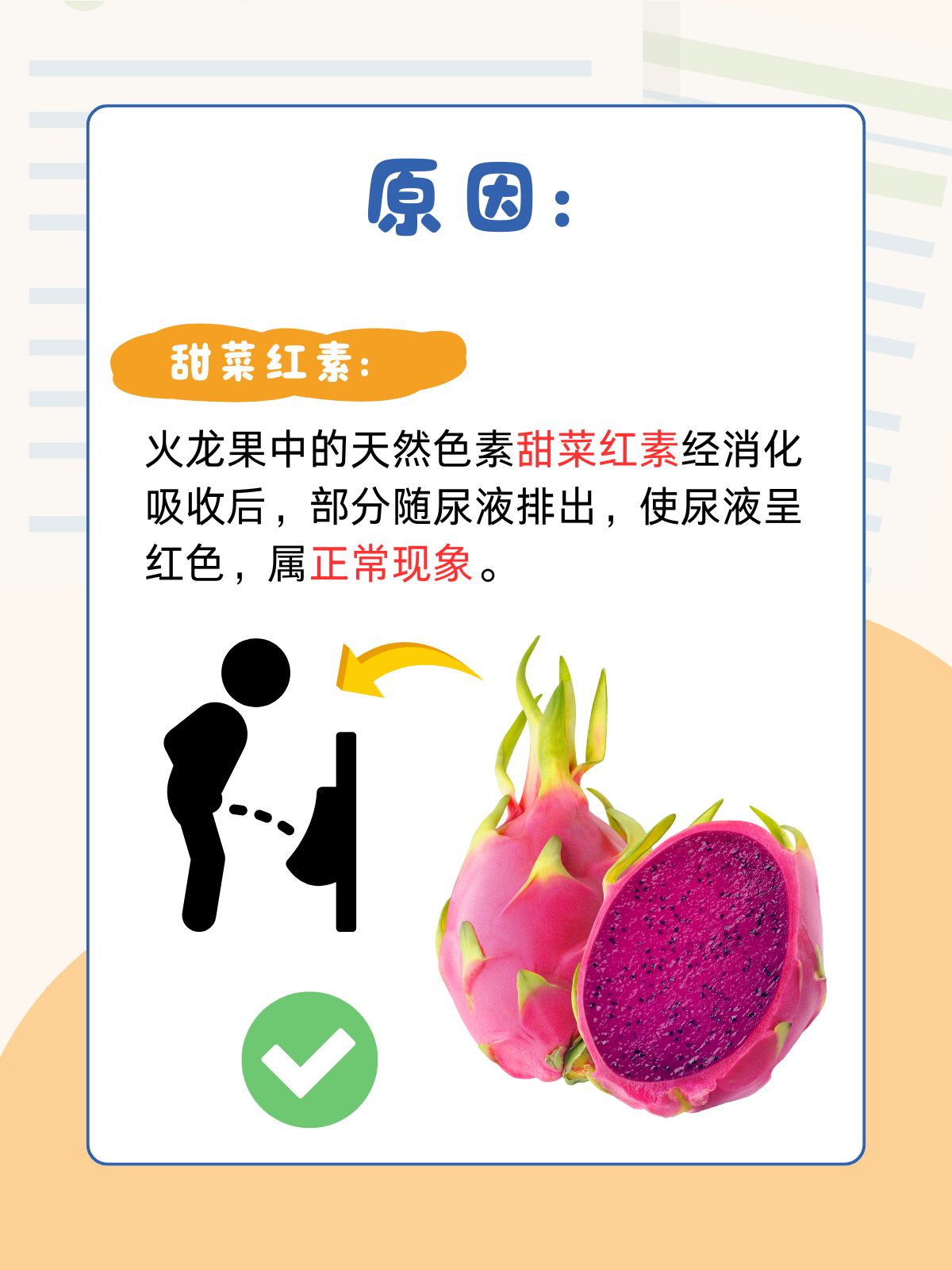 为什么吃火龙果会拉肚子