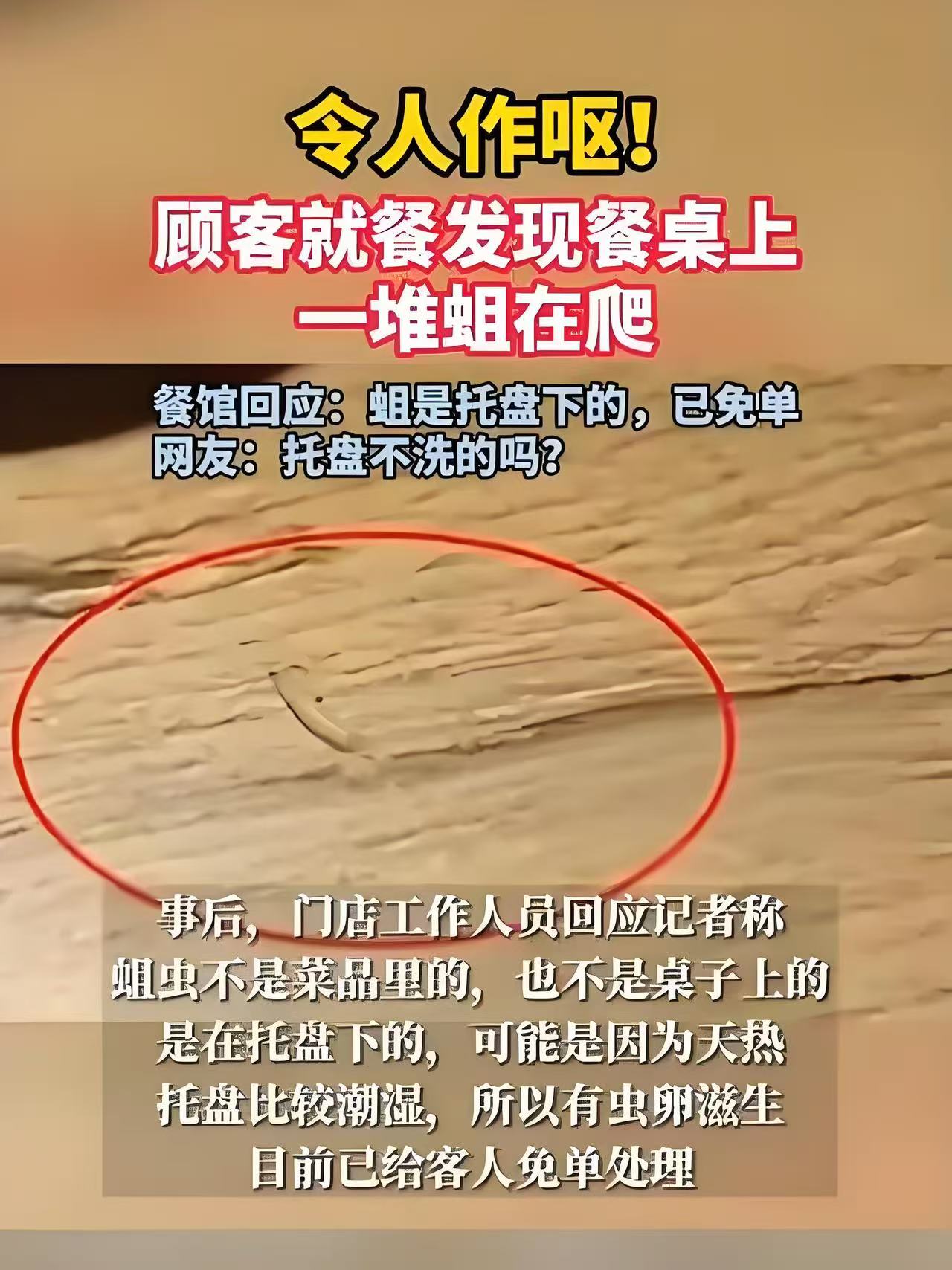 顾客吃饭竟看到桌上一堆蛆爬这画面想想都恶心