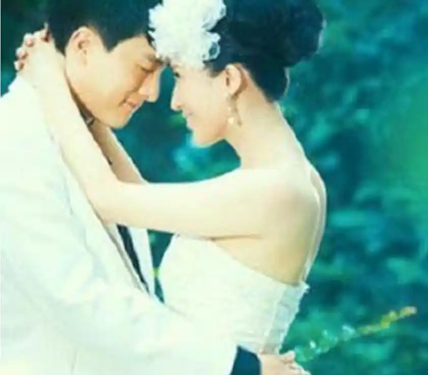 回顾孙艺洲:结婚将近10年,其妻曾在《爱情公寓》里有过客串