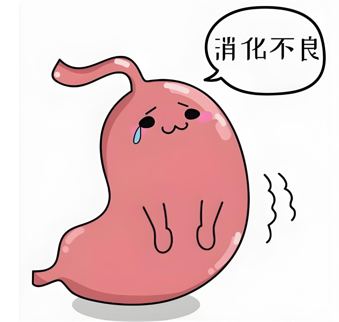 说到底,是随着年龄增大,我们的"脾胃工厂"逐渐老化