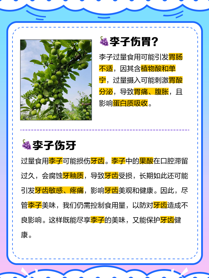 李子为什么不能多吃