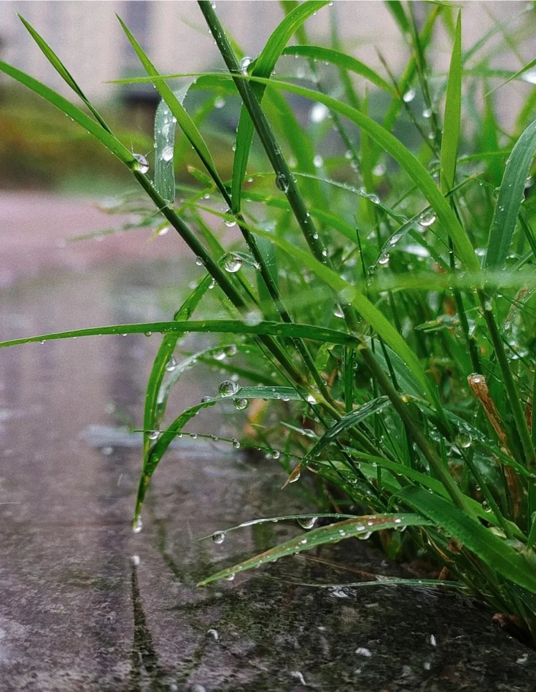 适合下雨天发的氛围感朋友圈文案,超有感觉,太高级了!