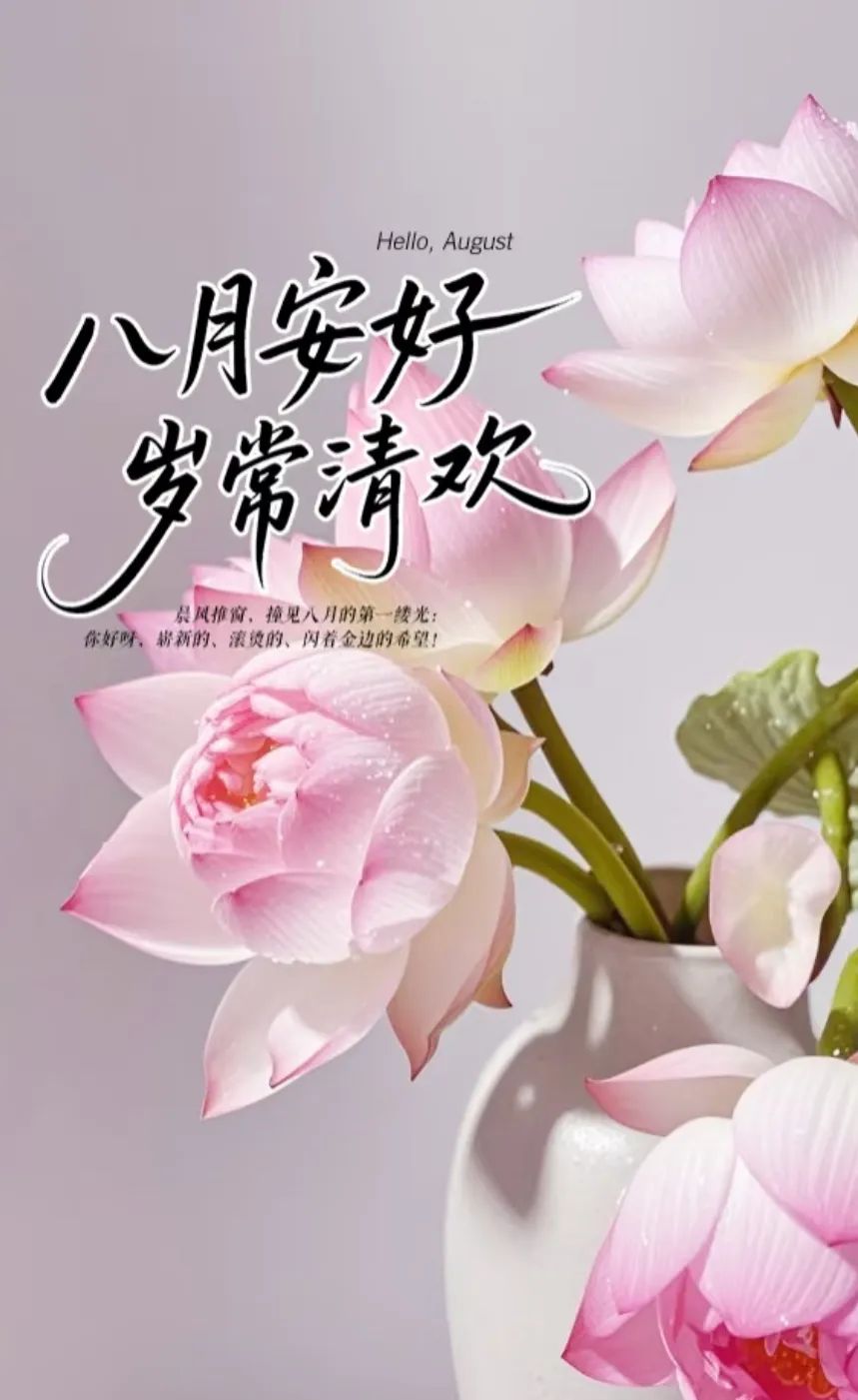 最新八月你好早安问候图片精选,祝福问候,一切美好!