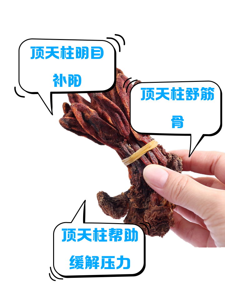 它含营养成分,或可改善生殖系统.不过个体有差异,效果不一定相同