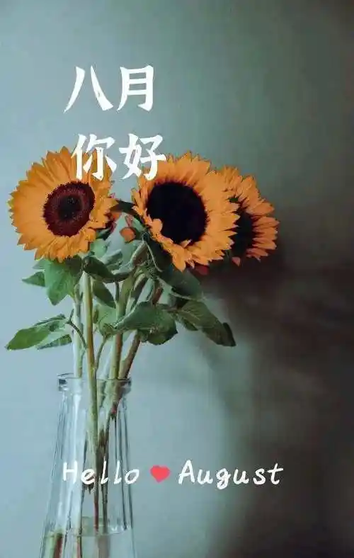 「现代诗」走进八月