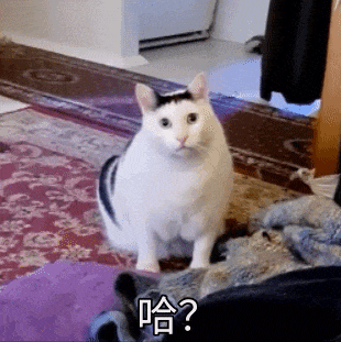 甲醛一扫光,呼吸更顺畅