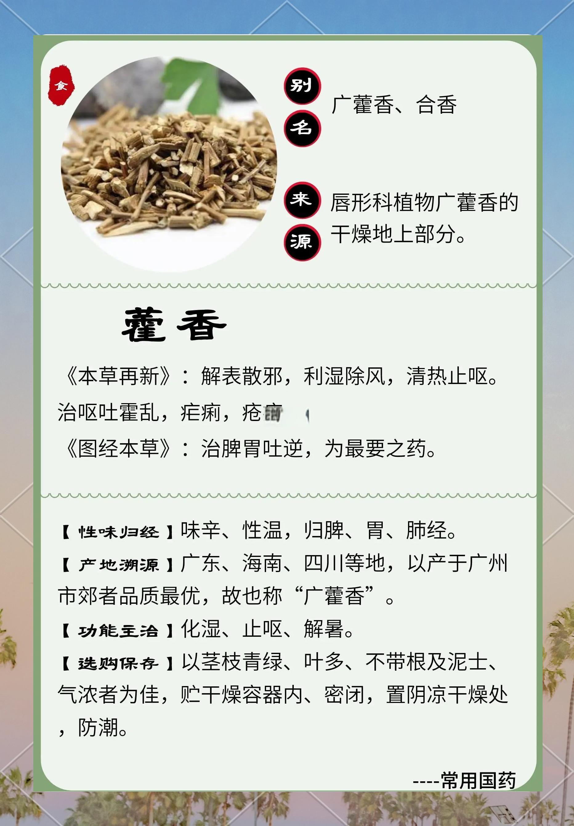 藿香能化湿,止呕,解暑.食用时可泡茶,做菜