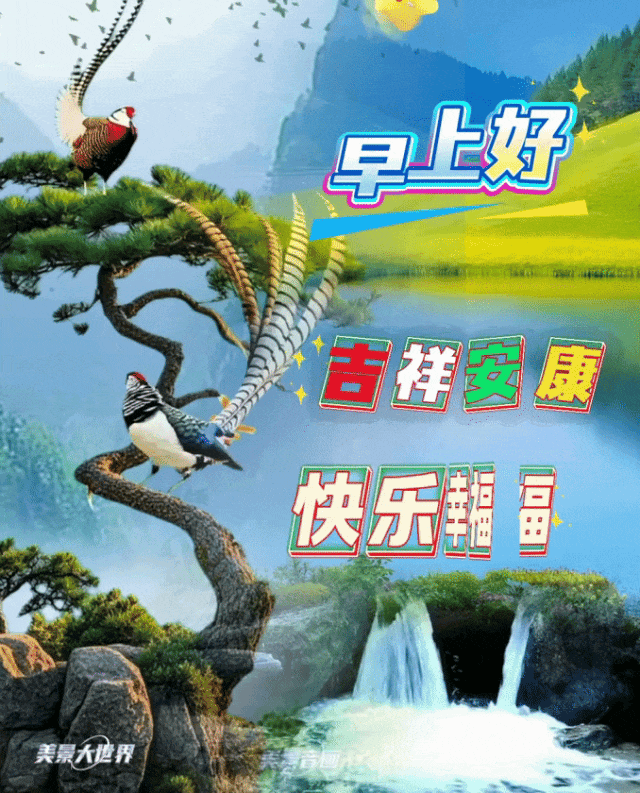 顺心美好的早安问候语最新,20张漂亮早上好精美图片祝福