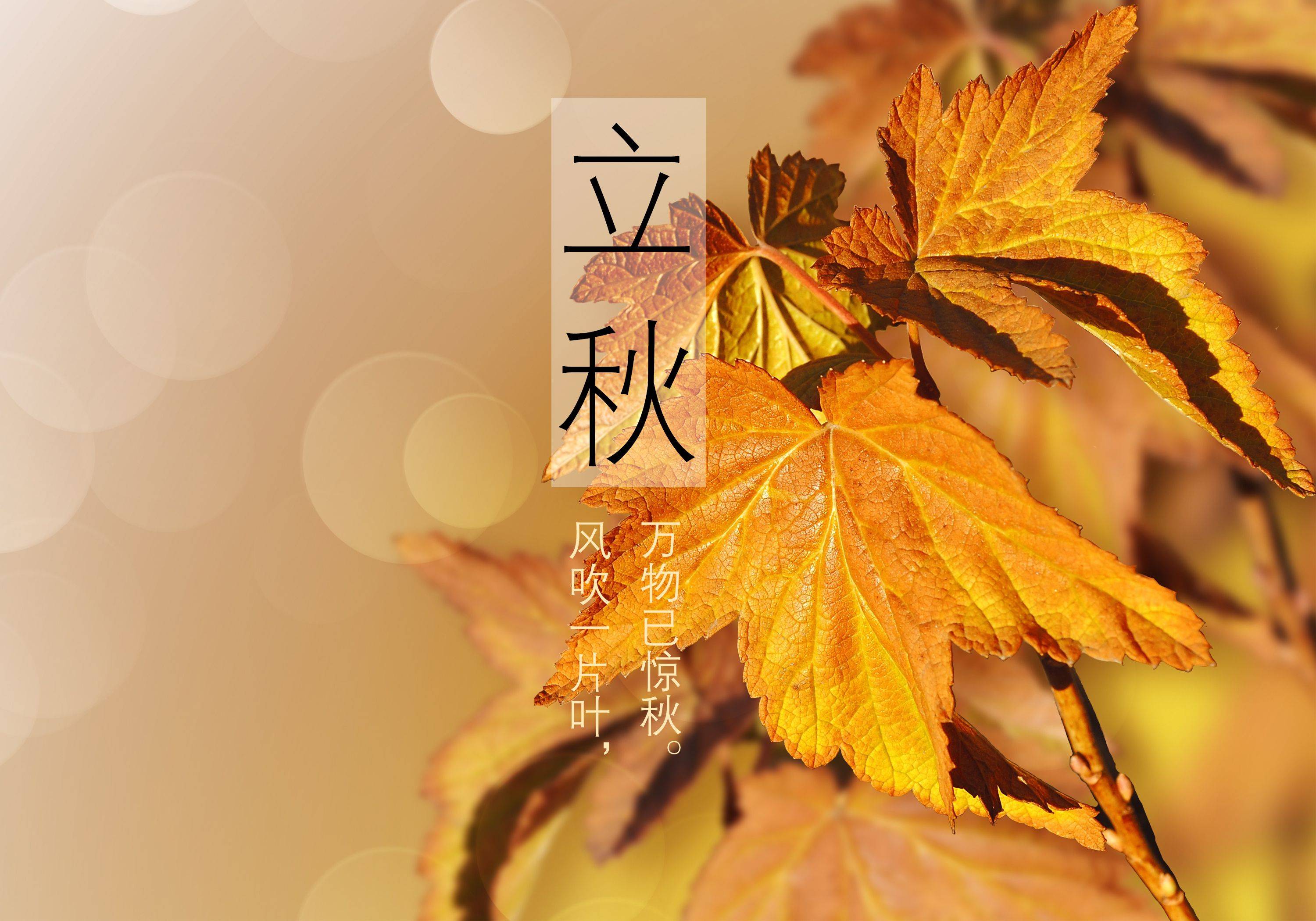 立秋不忌嘴,郎中跑断腿,8月7日立秋,这类食物别再碰,别大意了