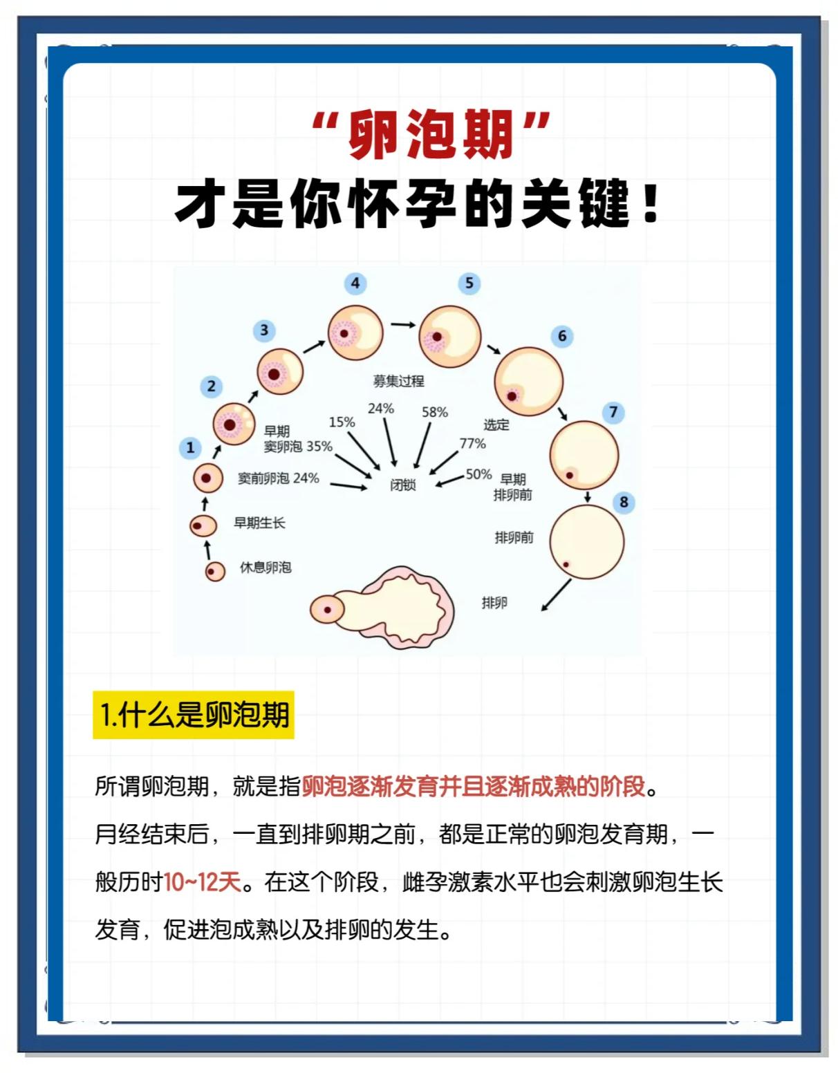 一般卵泡长到18