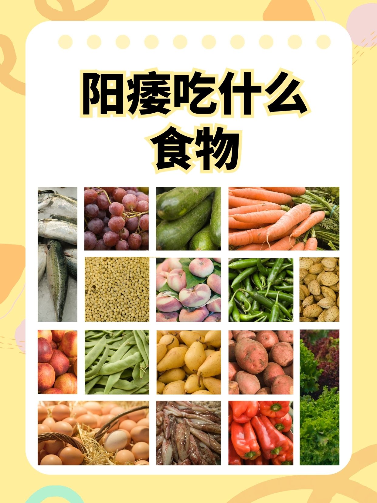 补肾10大必吃蔬菜(补肾10大必吃蔬菜板蓝根能常吃吗)
