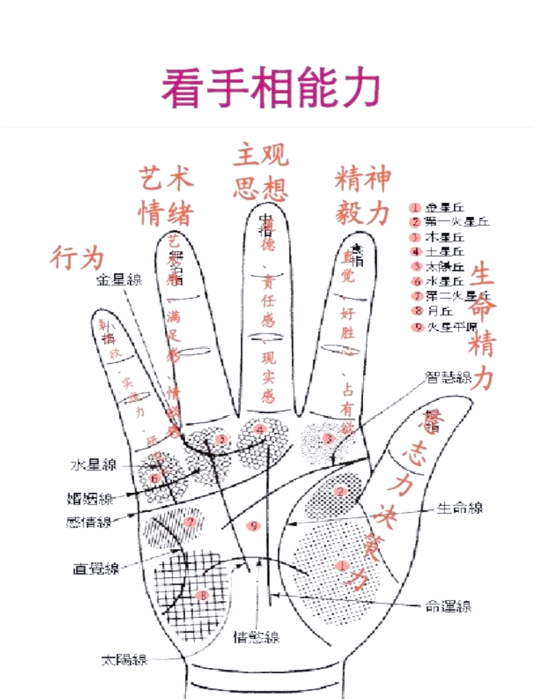 食指比中指长的人,若你是这几个属相,天生"好运命",健康又长寿