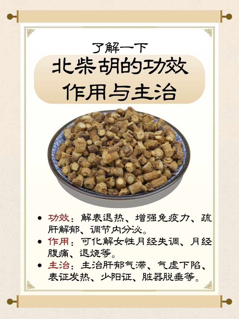 北柴胡功效挺多的.它能帮助身体散热,缓解感冒发烧症状