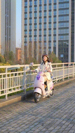 明星同款新日电动车：硬核骑士之选 VS 元气少女座驾，全网都在夸！-有驾