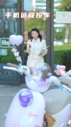 明星同款新日电动车：硬核骑士之选 VS 元气少女座驾，全网都在夸！-有驾