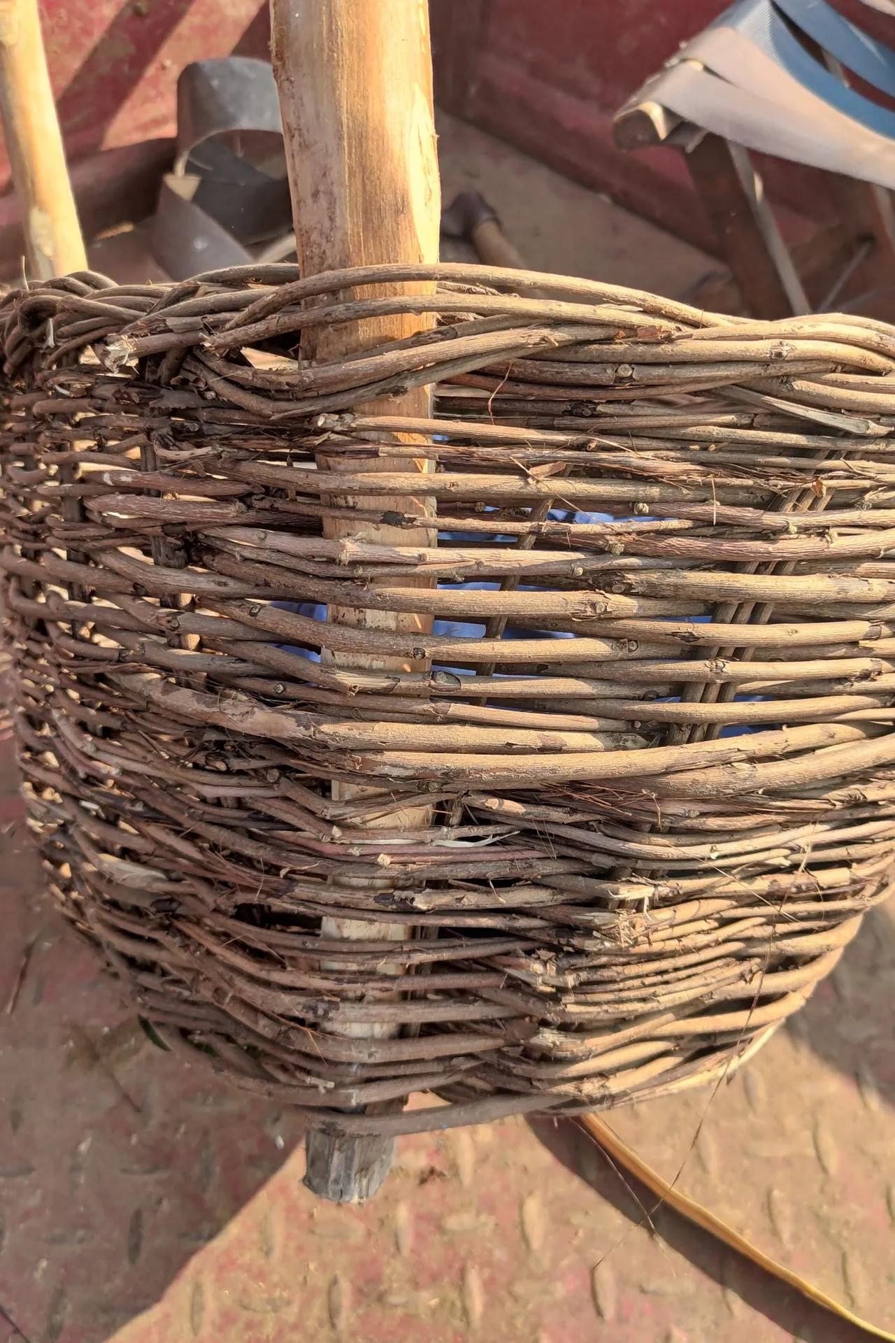 秋天到了,黄荆子成熟了,采摘回来填充枕头,每天睡上安稳觉