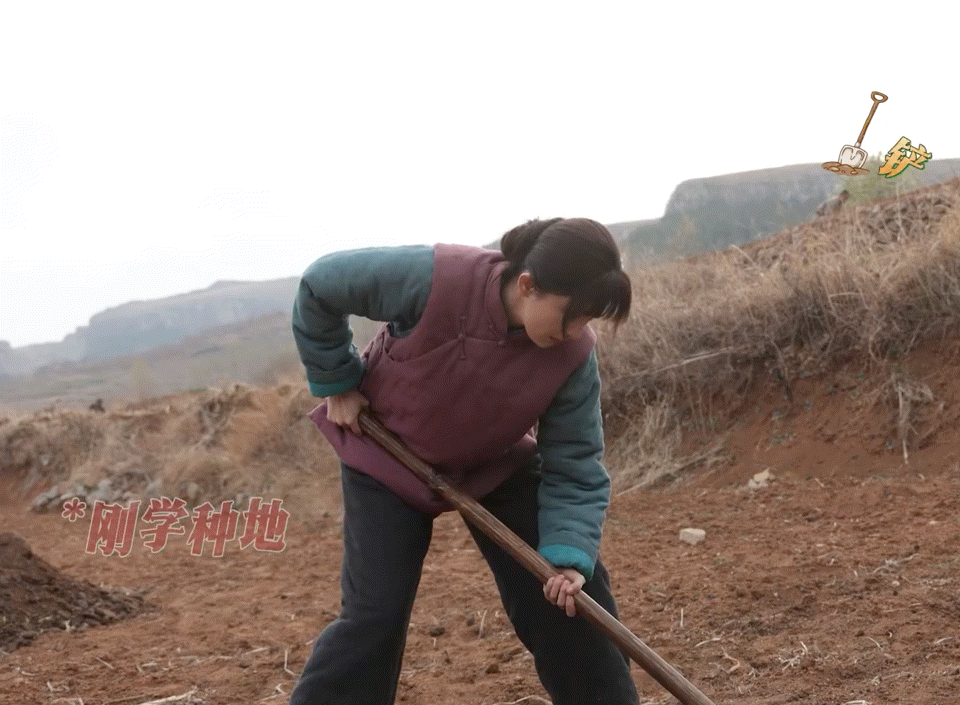 有偶像包袱就别演戏,《生万物》杨幂下地干活,打脸了多少敷衍的演员