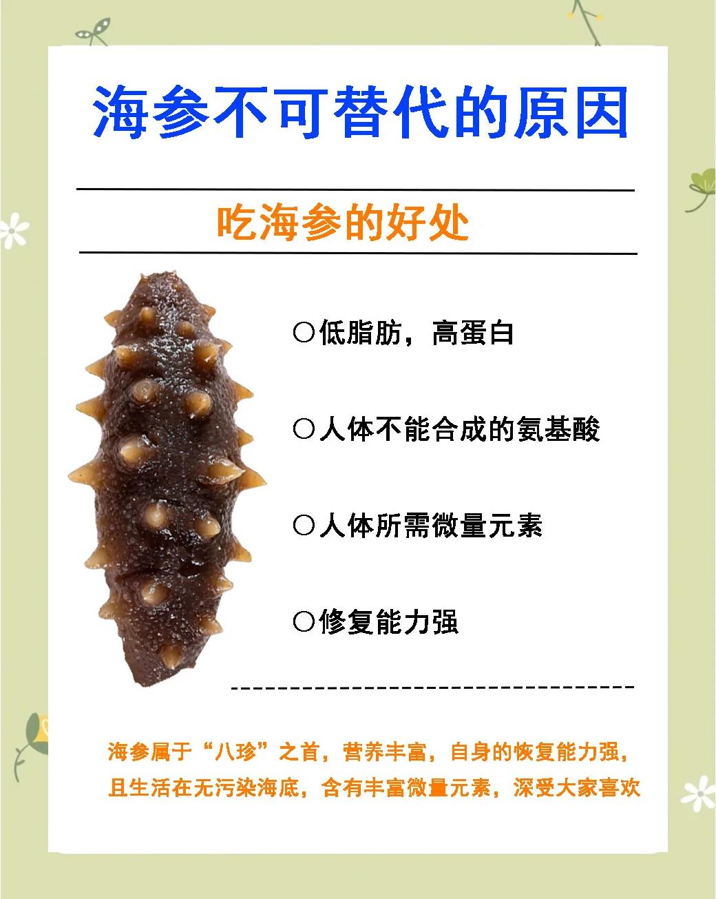 海参为什么夏天休眠 海参为什么夏天休眠