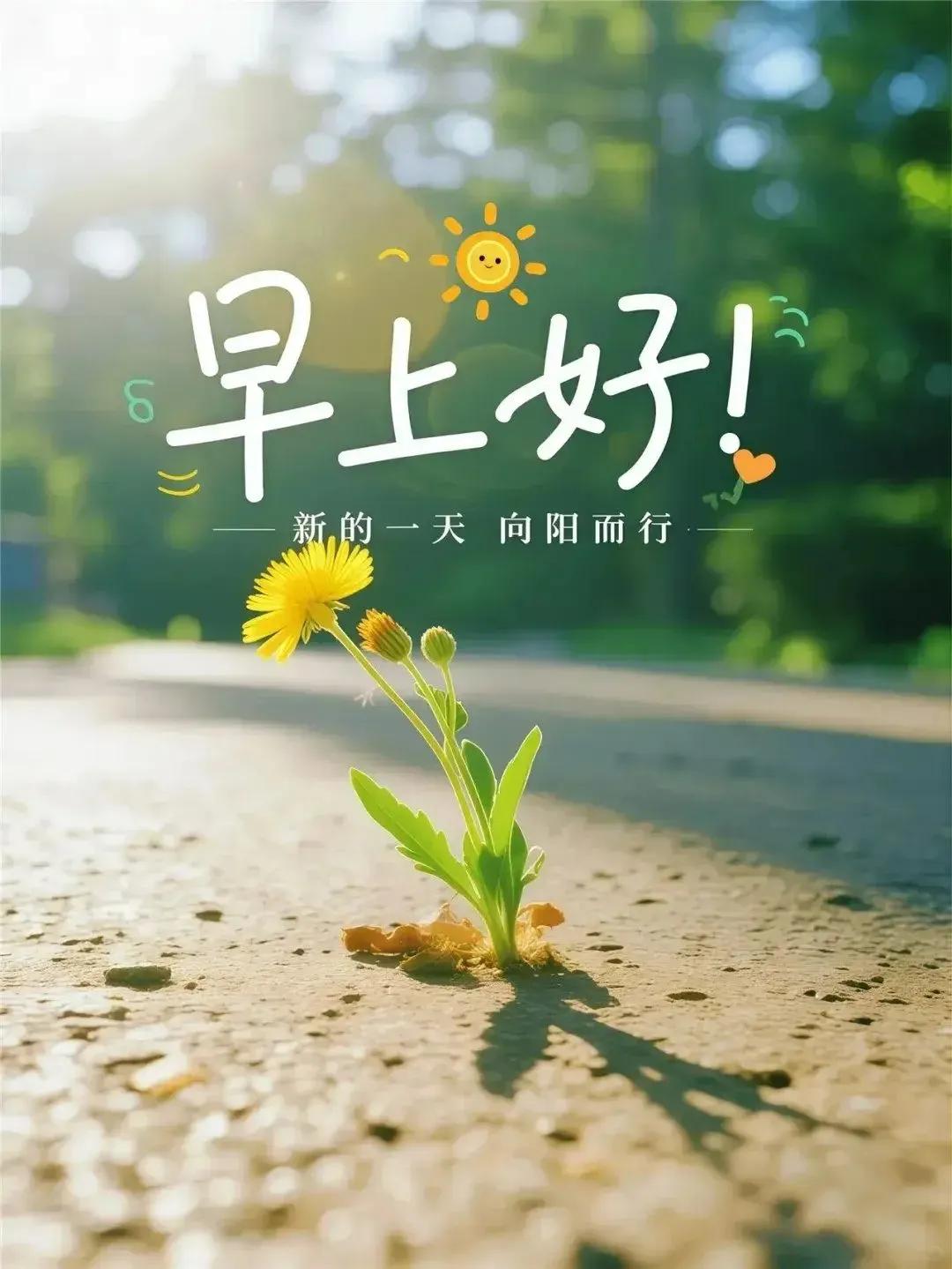 819日早安温暖问候句句抚心灵愿你健康快乐幸福常在
