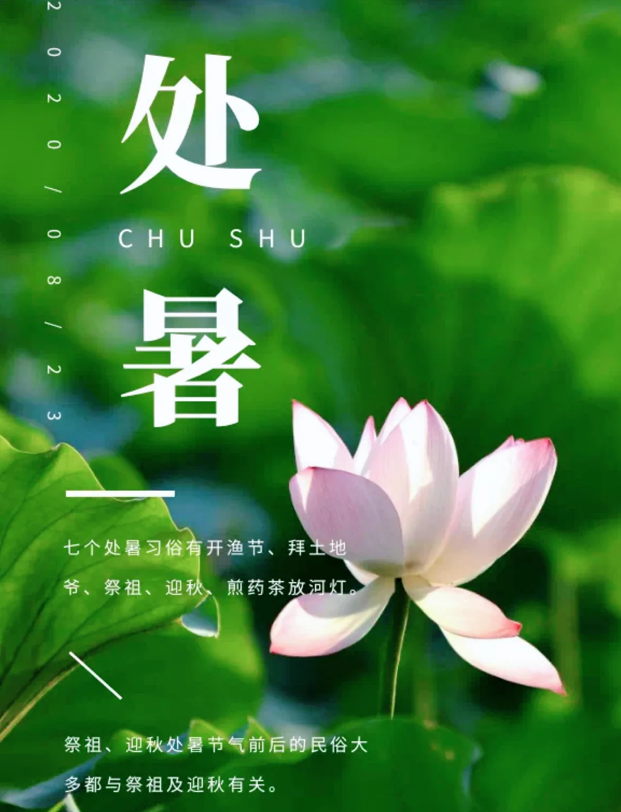 处暑节气将至,记得多 "煲汤",这4道汤时常做着吃,身体素质变强,抵抗力