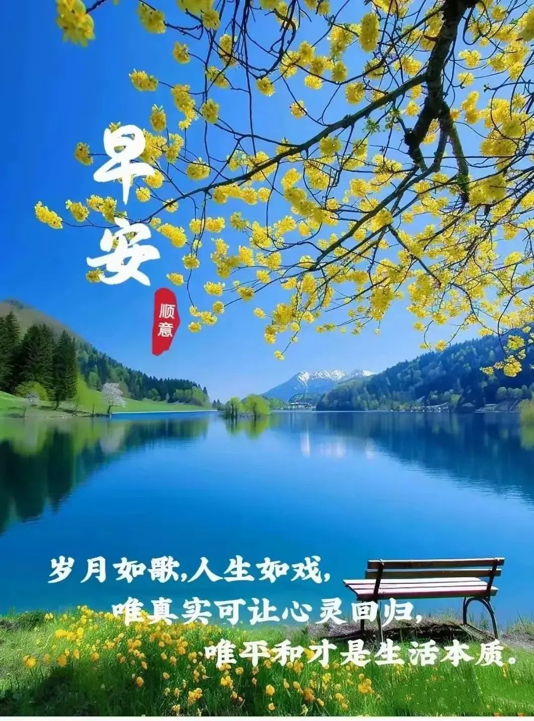 今日新版早上好图片精选,日常问候朋友早上安康暖心句子集合