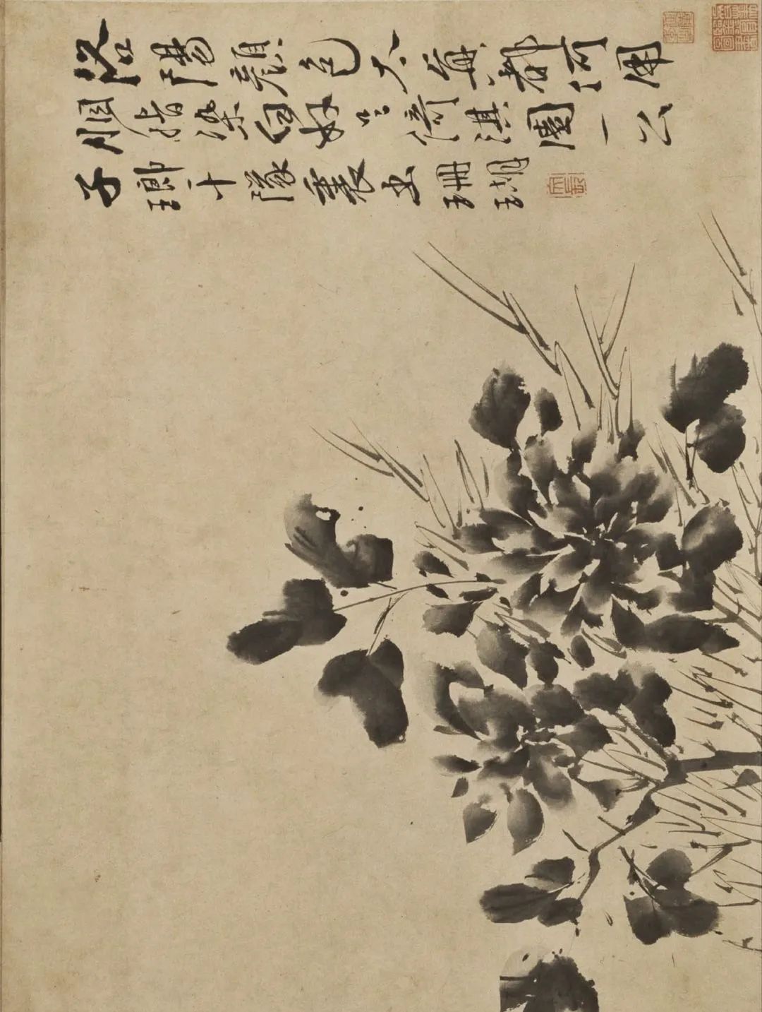 徐渭高书不入俗眼入俗眼者非高书