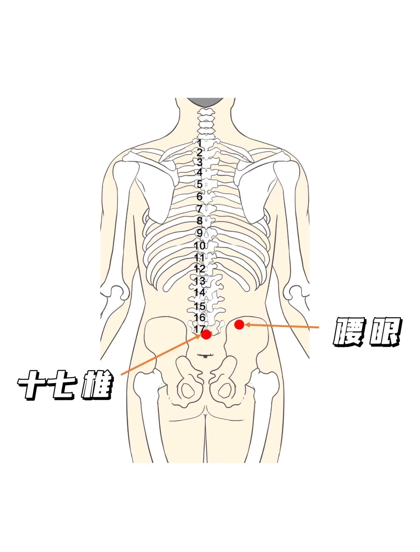 针灸止痛取穴速查:22种常见疼痛对症施针使用指南