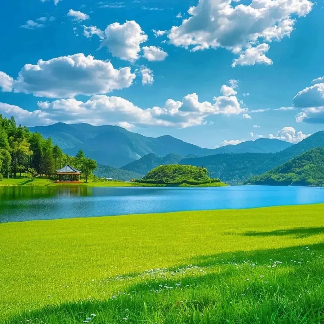 自带好运的微信头像