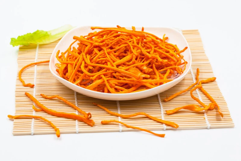 细思极恐!虫草能把蚂蚁等生物变成"僵尸傀儡"?