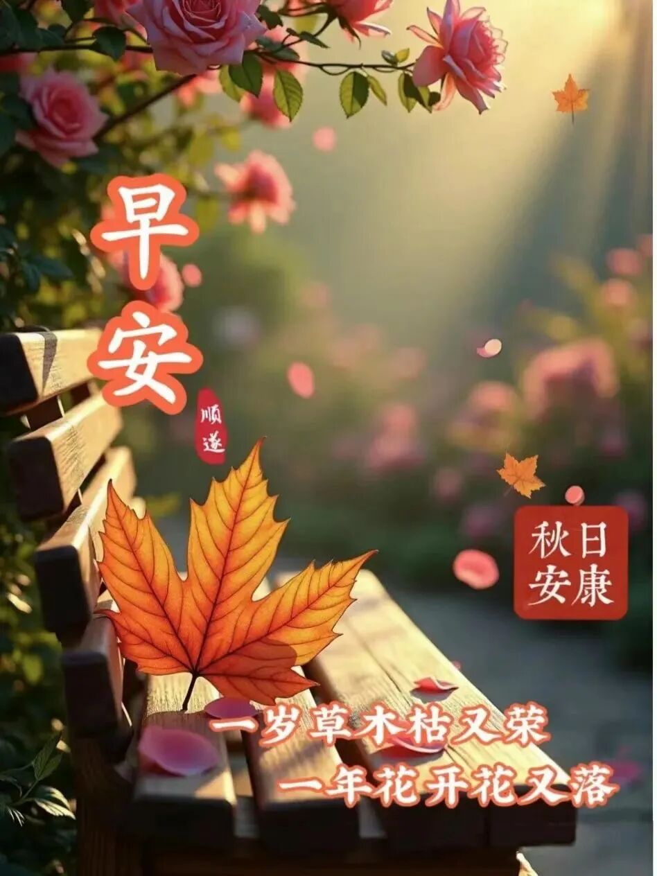 秋天祝福问候早上好 图片,一叶知秋,天气渐凉,一声祝福,健康一生