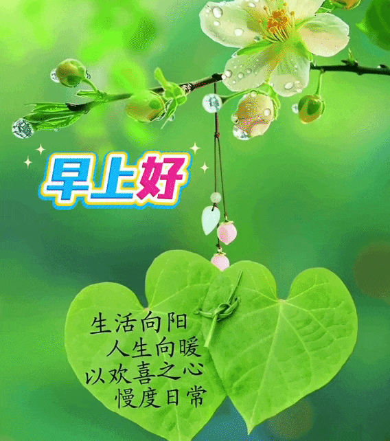 平安顺遂,福运绵绵的早安祝福短信,温馨无比的早上好问候语图片