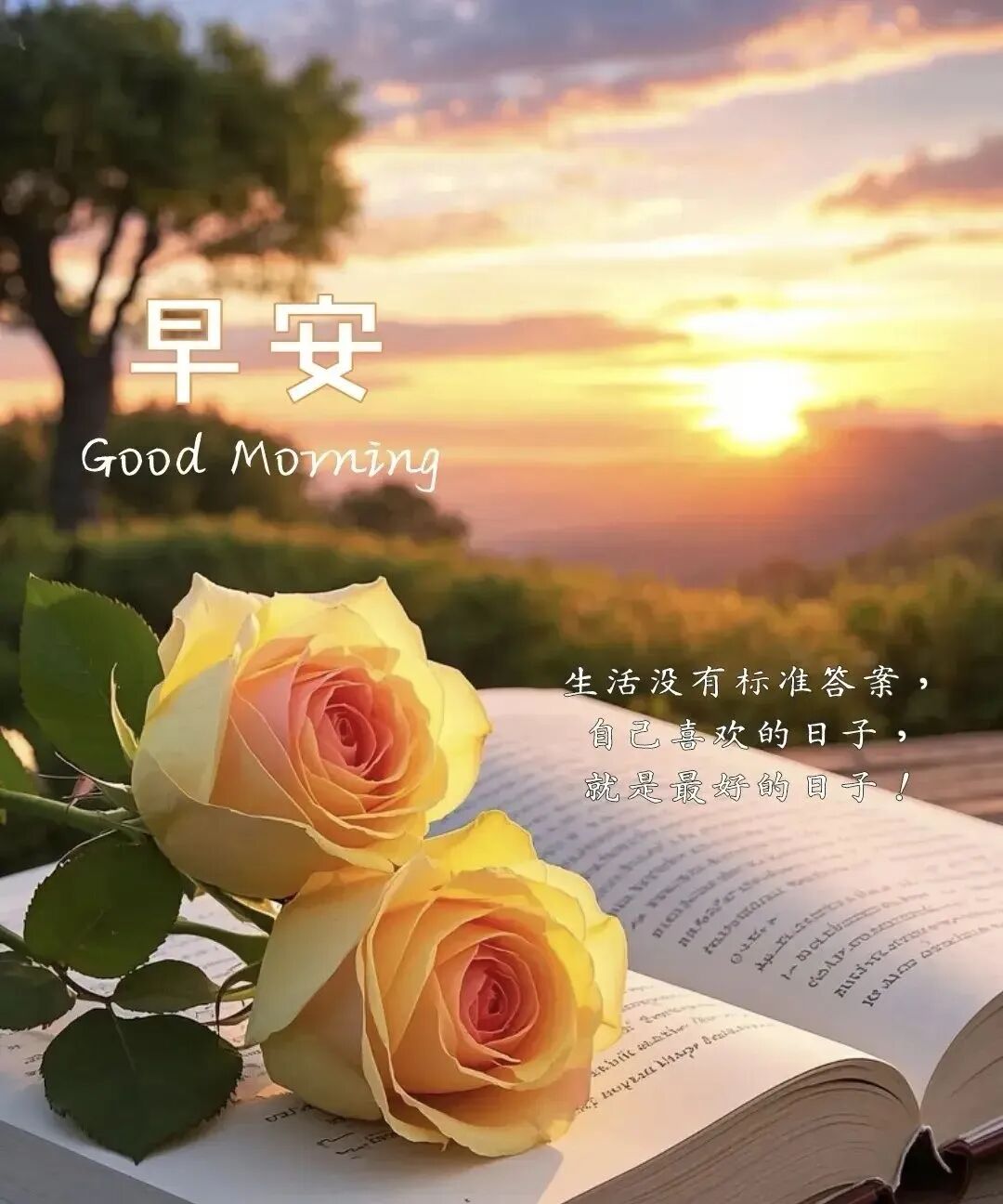 30张早上好最美图片2025精选,清晨声声送祝福,顺心如意伴吉祥!