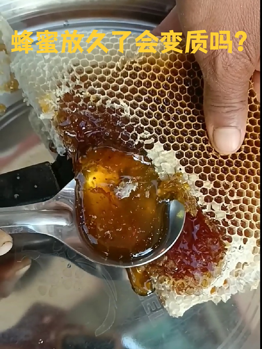 蜂蜜放多久才会坏(蜂蜜放多长时间失效) 蜂蜜放多久才会坏(蜂蜜放多长时间失效)