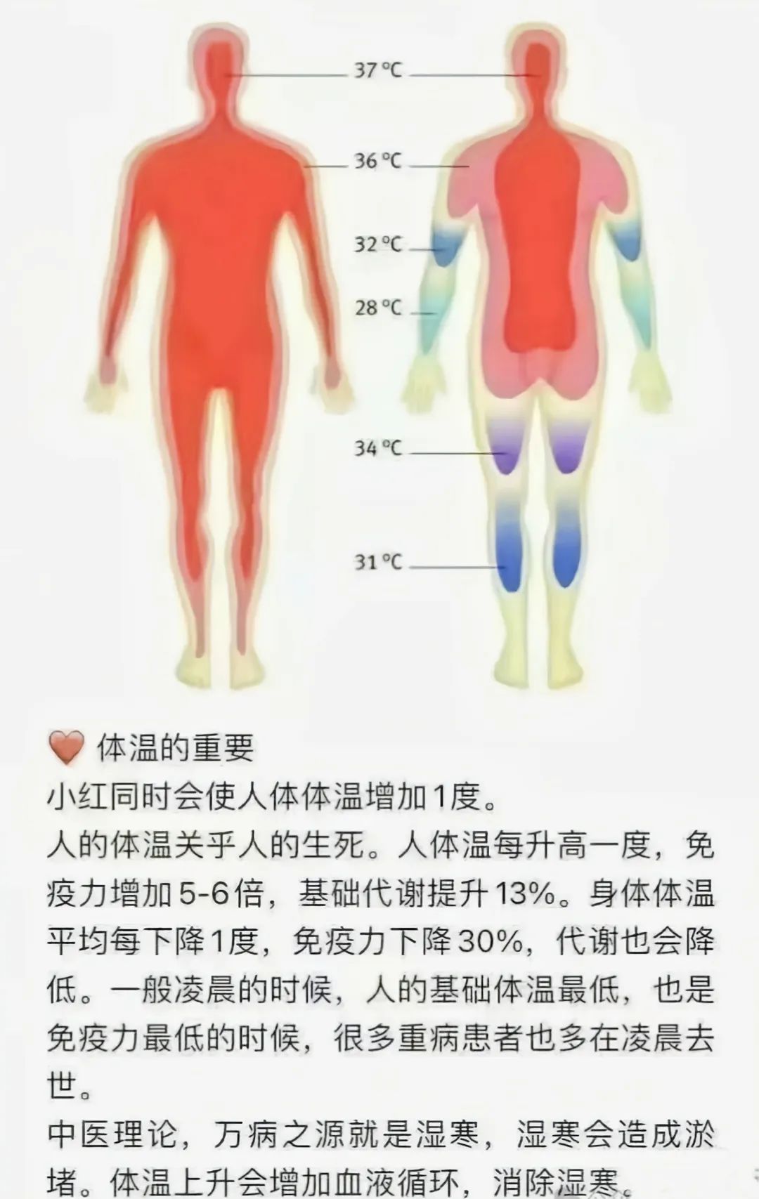 温度决定健康低温催人老还招癌「pm小红」帮你把体温升回来