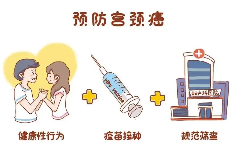 cin，cinvaikrose是什么牌子